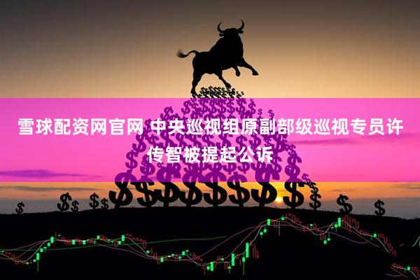 雪球配资网官网 中央巡视组原副部级巡视专员许传智被提起公诉